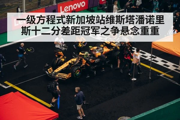 F1 pit stop strategy